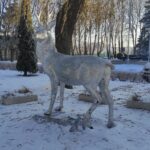 Jeleń w Mielnie