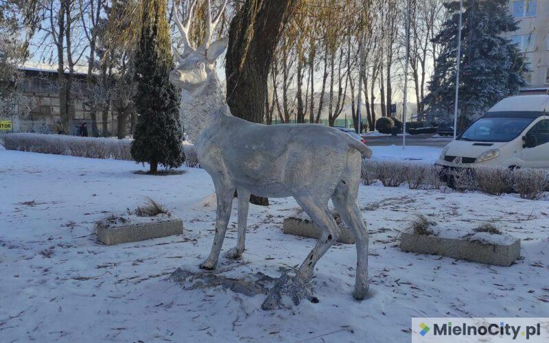 Pomnik Jelenia w Mielnie