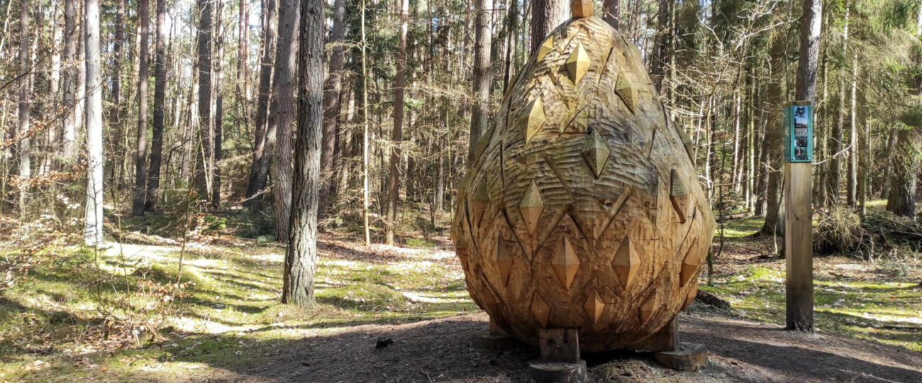 Koszaliński Park Nadmorski i olbrzymie szyszki w Mielnie