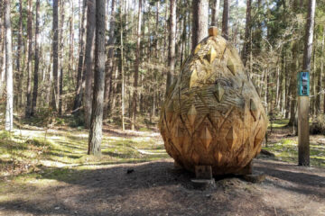 Koszaliński Park Nadmorski i olbrzymie szyszki w Mielnie