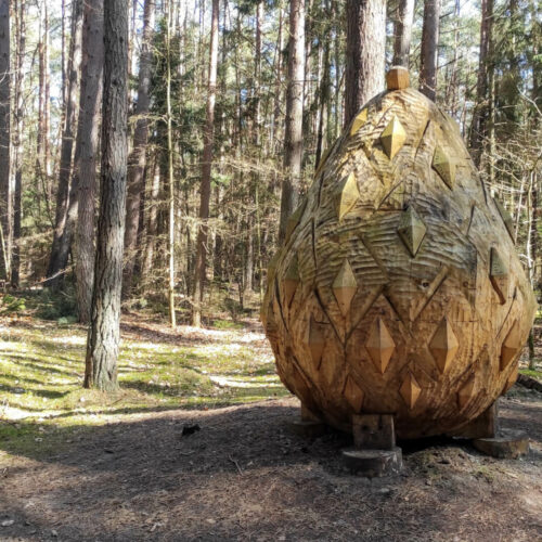 Koszaliński Park Nadmorski i olbrzymie szyszki w Mielnie