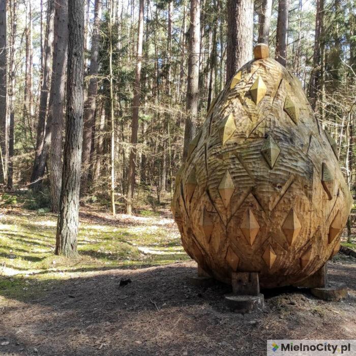 Koszaliński Park Nadmorski i olbrzymie szyszki w Mielnie
