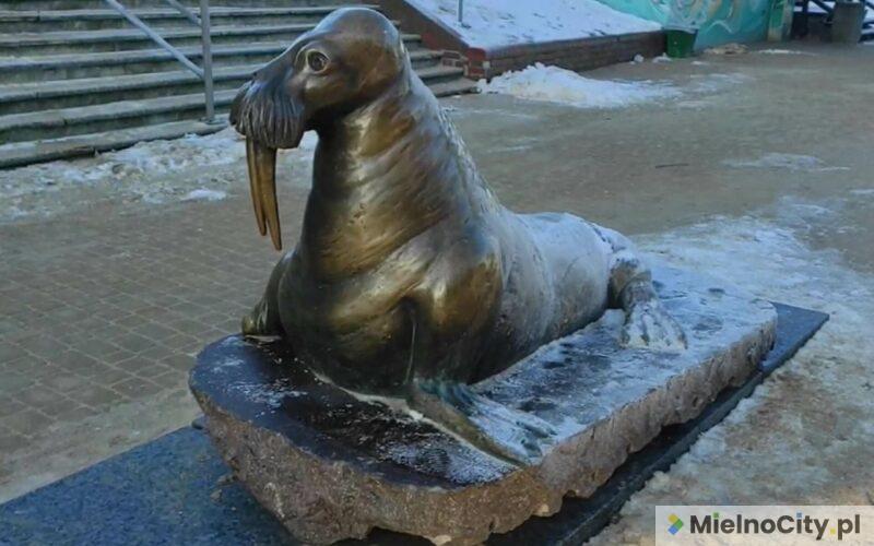 Pomnik morsa w Mielnie